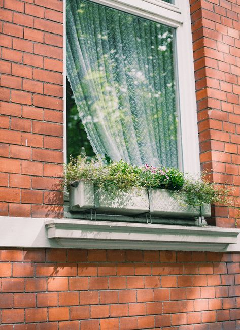 A picturesque white-framed window with delicate curtains and a vibrant flowerbox on a brick wall.