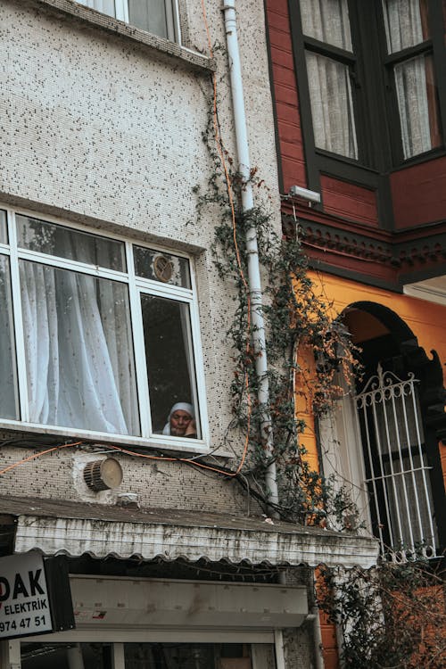 Woman in Apartment Windows