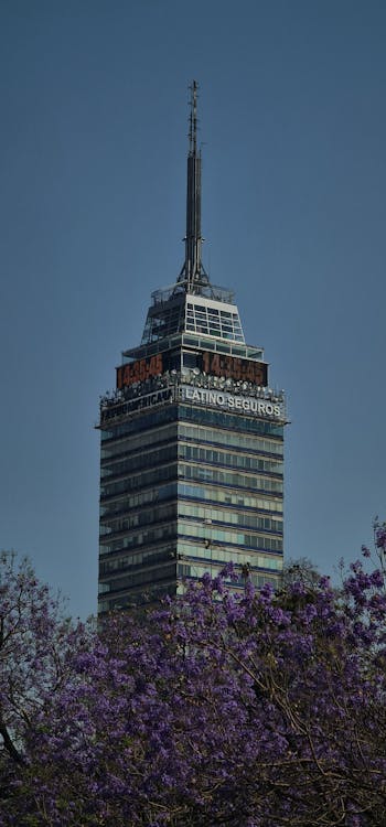 Бесплатное стоковое фото с torre latinoamericana, вертикальный выстрел, горизонт