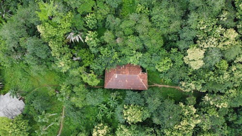 Foto profissional grátis de árvores, casa, casas