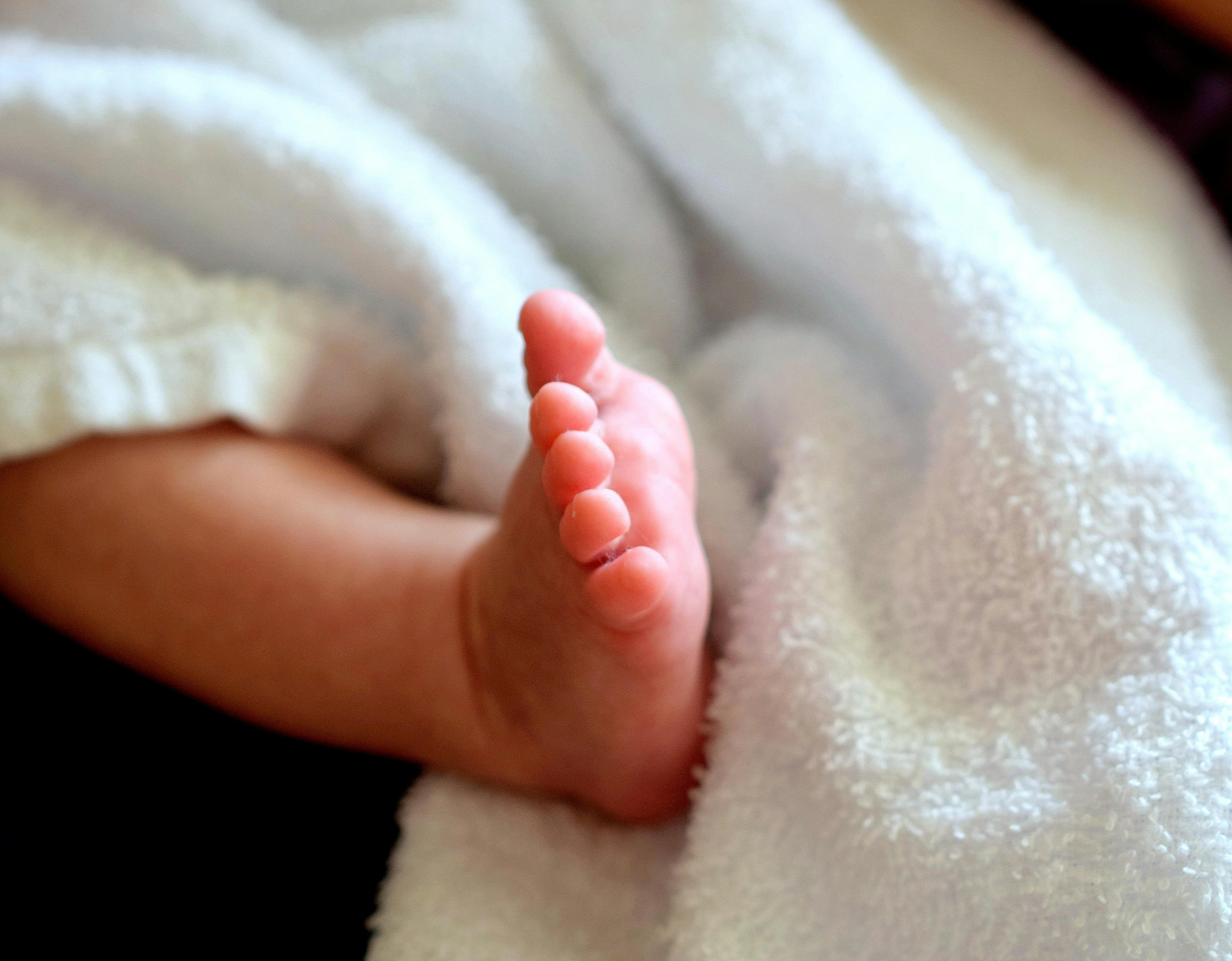 Free stock photo of baby, blanket, cuddly
