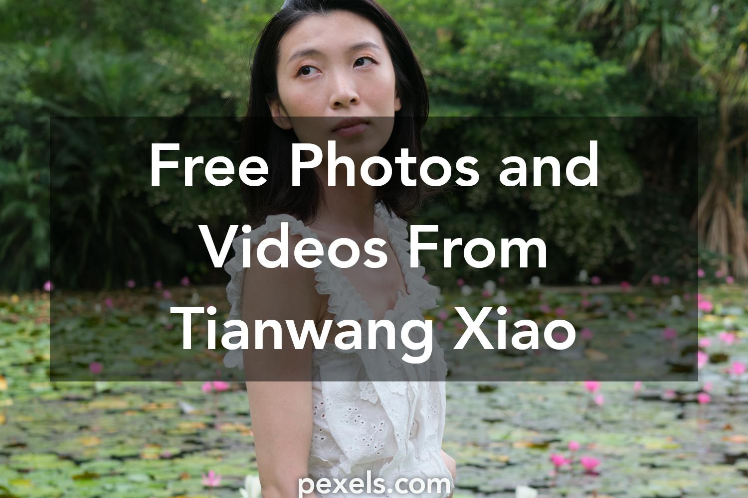 Tianwang Xiao - Photography