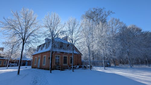 Wooden Barn Among Trees in Winter 