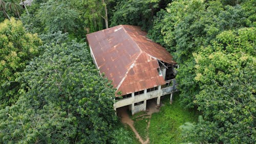 건물, 관목, 나무의 무료 스톡 사진