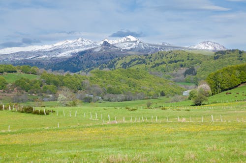 Fence on Pasture on Hillside