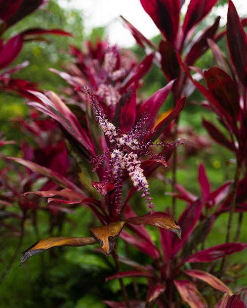 Mother Natures Floral Arrangement 