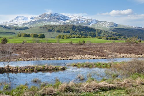 Stream in a Mountain Valley 