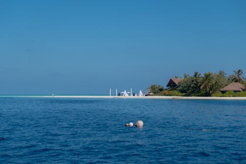 Clear Sky over Sea Shore with Village