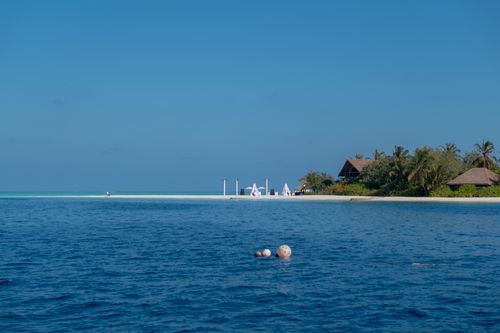 Free A serene tropical beach scene with palm trees, huts, and clear blue sea under a bright sky. Stock Photo