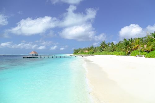 Free Stunning tropical beach with palm trees, azure sea, and a wooden pier under a clear blue sky. Stock Photo