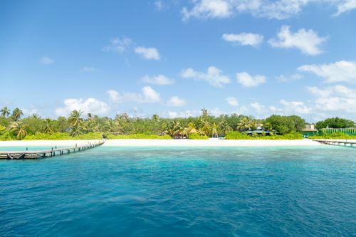 Free Capture of a serene tropical beach with crystal clear blue waters, lush palm trees, and clear sky. Stock Photo
