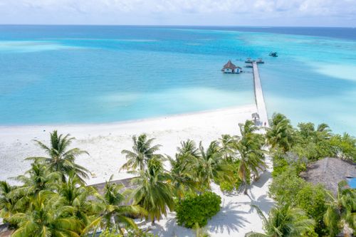 Free Peaceful aerial view of a tropical beach with turquoise waters and palm trees in Guraidhoo, Maldives. Stock Photo