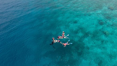 Aerial View of People Swimming in Turquoise Water 
