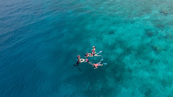 Snorkeling Adventure