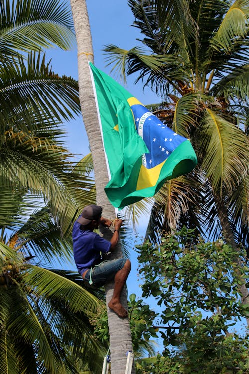 Man with Flag of Brazil Climbing Palm Trees