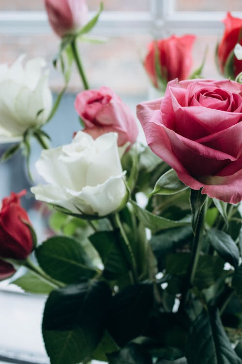 Imagine de stoc gratuită din aranjament floral, buchet, buchet de flori