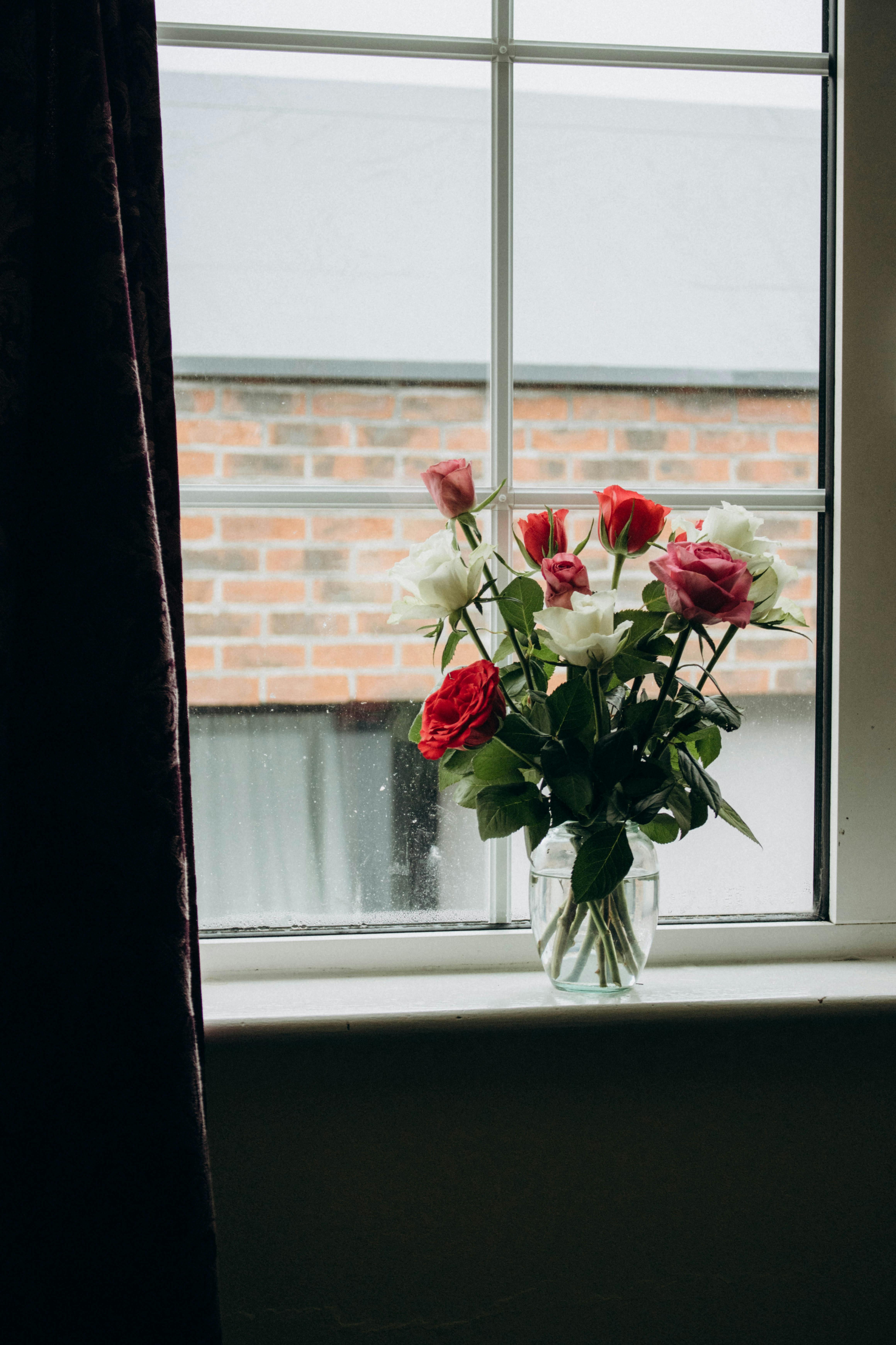A beautiful bouquet of roses in a vase placed on a windowsill with soft natural light.