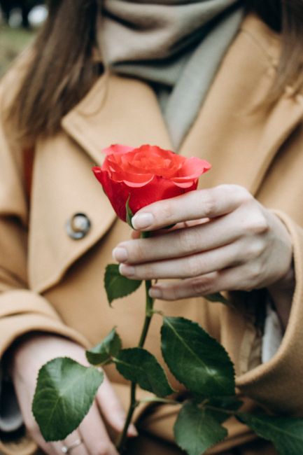 A close-up of a woman in a coat holding a vibrant red rose outdoors.