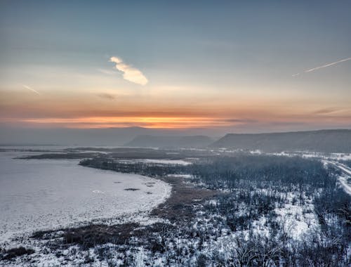 Foto d'estoc gratuïta de alba, bosc, capvespre