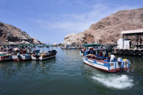 View of Fishing Boats in a Harbor 