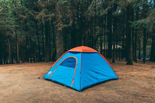Bright blue and orange tent set up in the woods of Ciudad de México.
