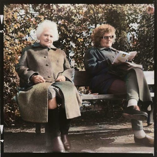 Elderly Women Sitting at Park