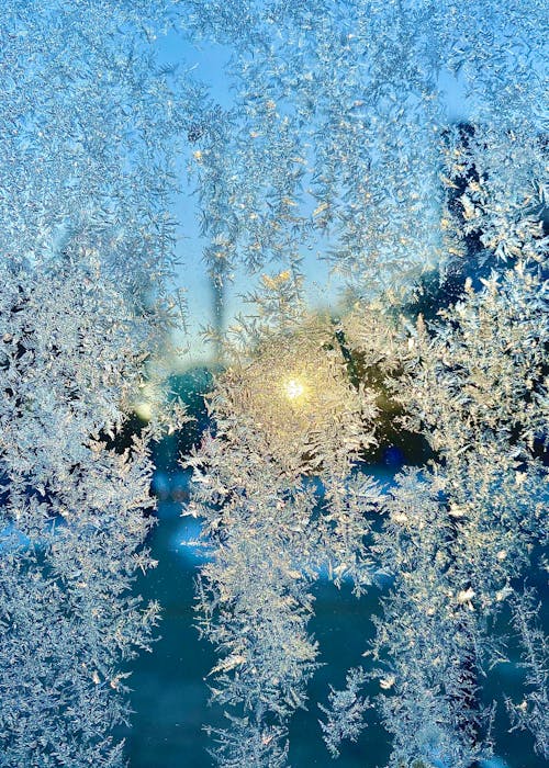 Frozen Snowflakes at Sunset