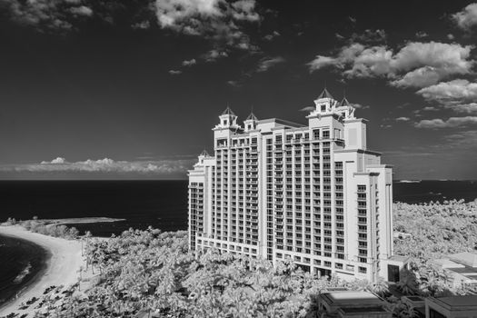 Striking black and white view of a luxury hotel by the coastline surrounded by palm trees.