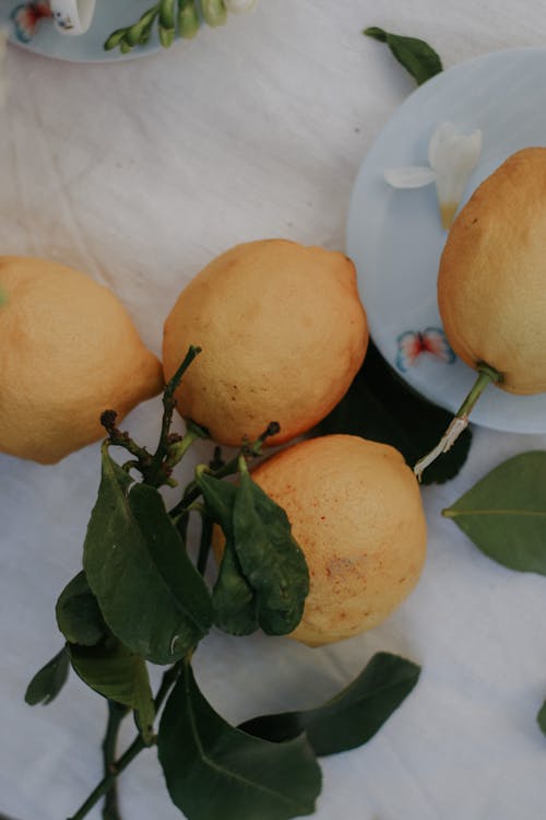 Ingyenes stockfotó citromok, citrusfélék, csendélet témában