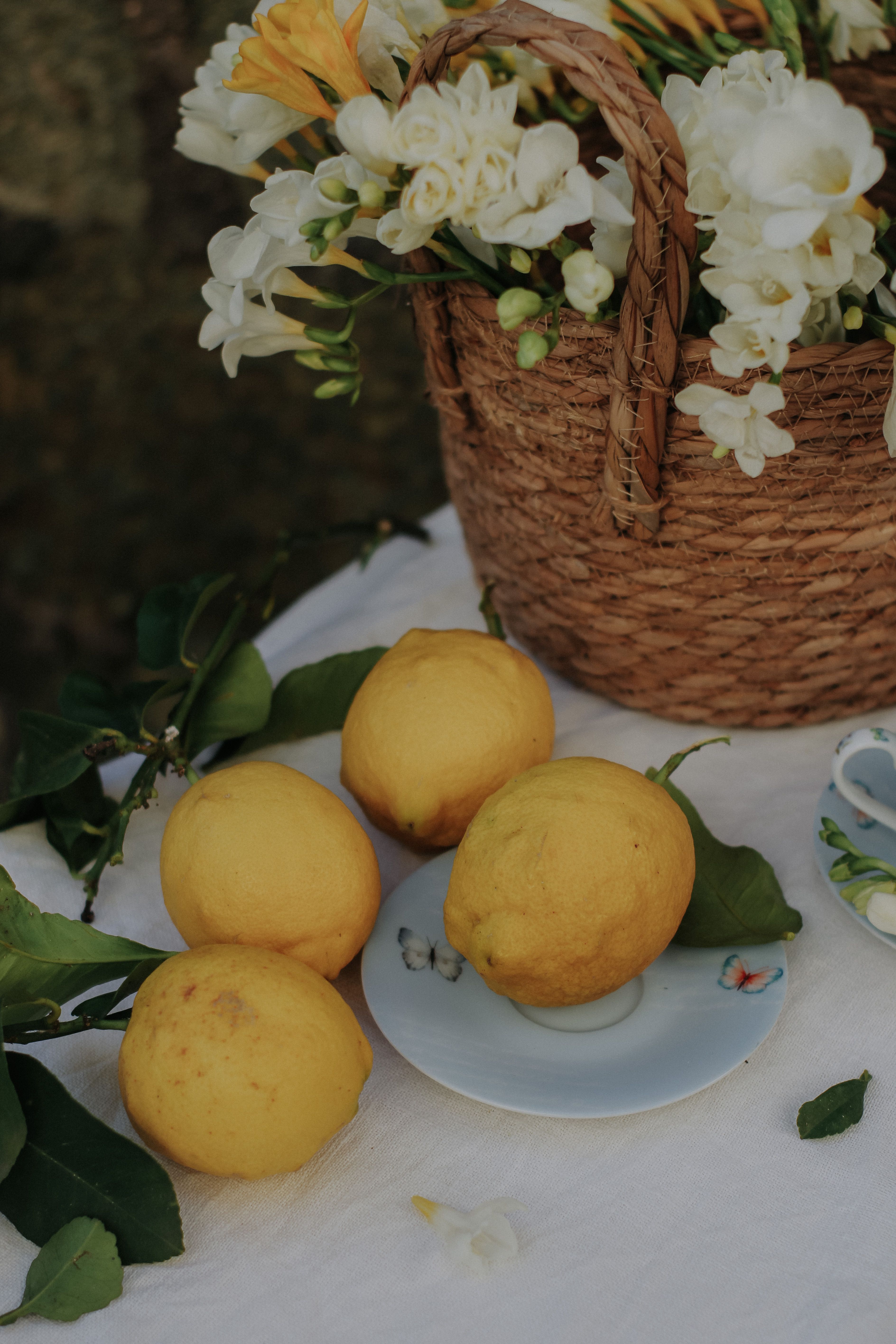 A charming still life showcasing lemons and flower basket on a table.