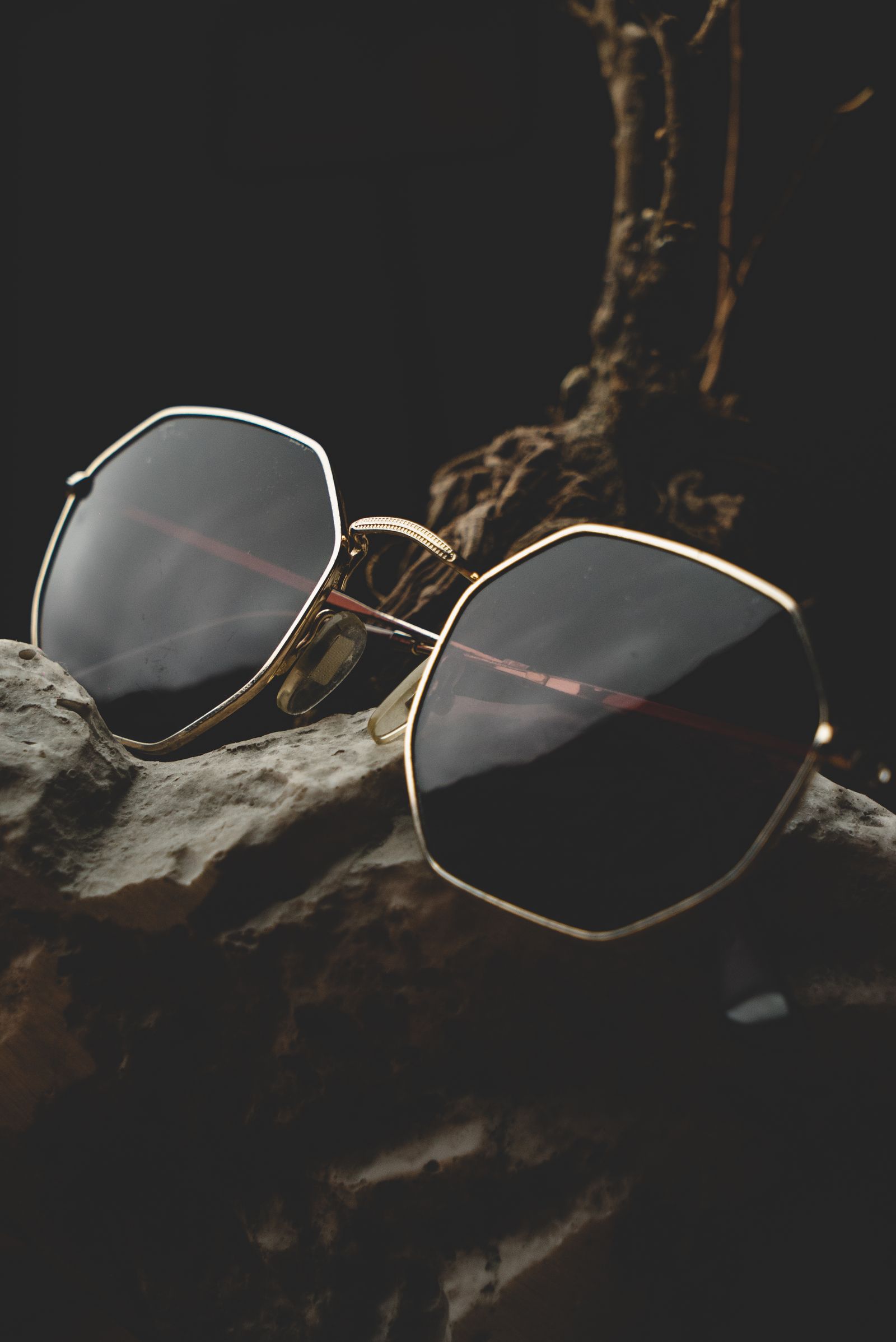 Gold-framed sunglasses resting on a log against a dark background
