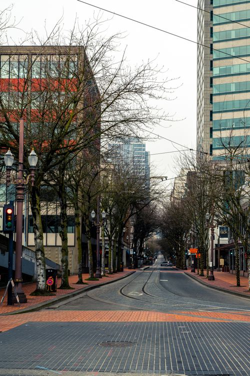 Free City street view with leafless trees and modern buildings, emphasizing urban architecture. Stock Photo