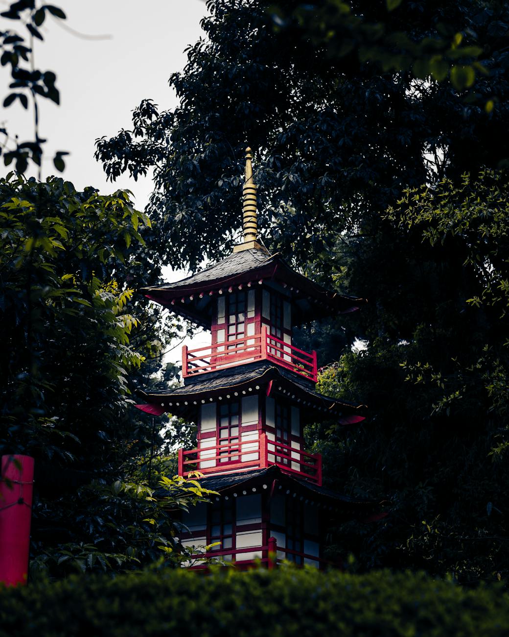 보고르 식물원 갤러리 이미지