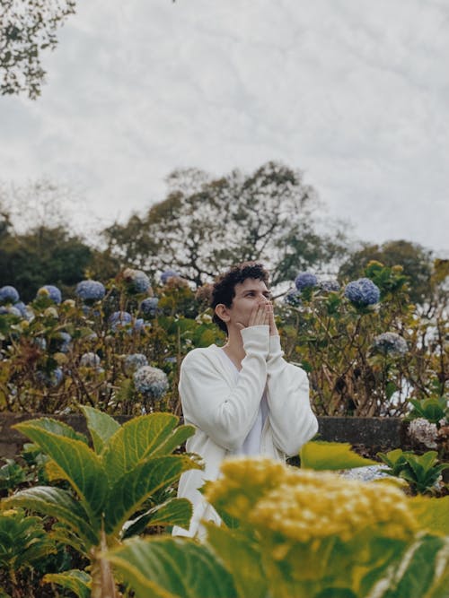 관목, 꽃, 남자의 무료 스톡 사진