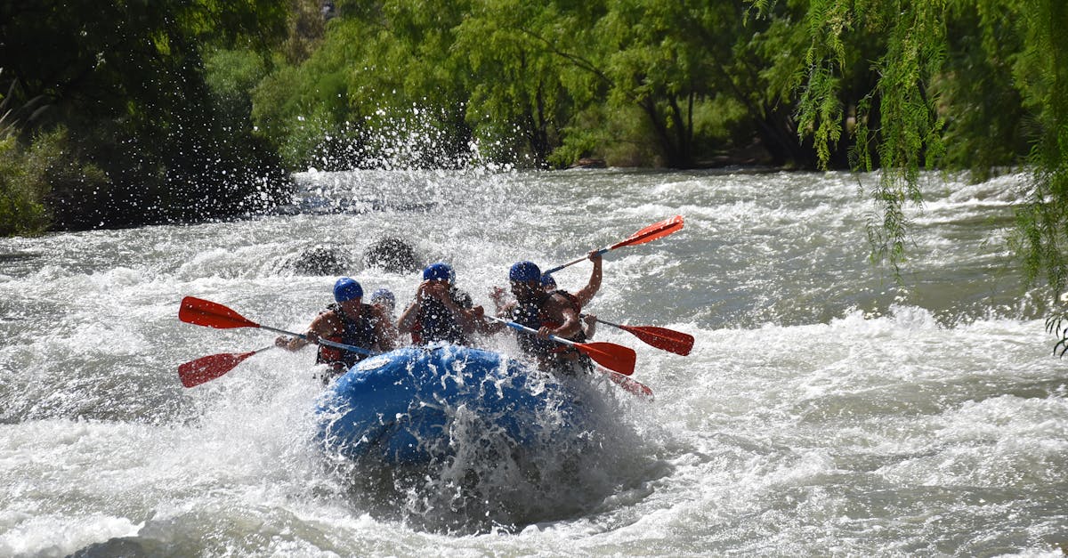 Men Rafting on Gusty River · Free Stock Photo