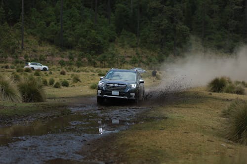 Foto d'estoc gratuïta de 4x4, aventura, camí de carro