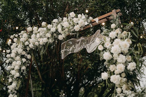 Immagine gratuita di chuppah, composizione floreale, decorazione