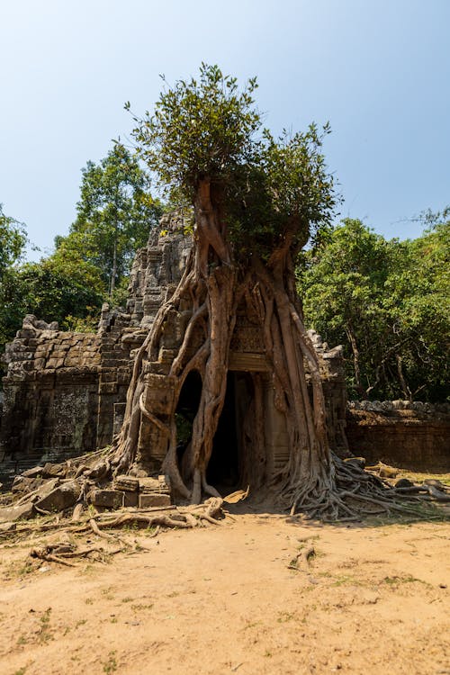 Temple Ruins at the Angkor Wat Complex, Siem Reap, Cambodia