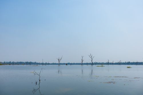 Free Peaceful lake scene with distant trees and reflections under a clear blue sky. Stock Photo