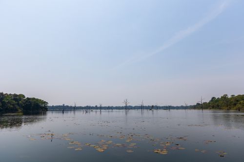 Free Tranquil lake scene with reflections and distant trees under a clear sky. Stock Photo