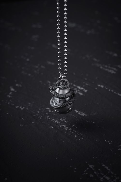 Free Close-up of silver snake necklace pendant on a dark textured background. Stock Photo