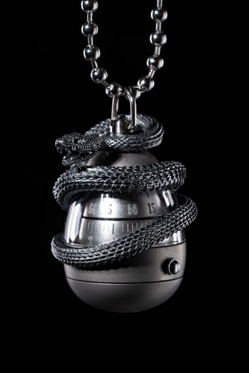 Silver Snake on Silver Necklace Item