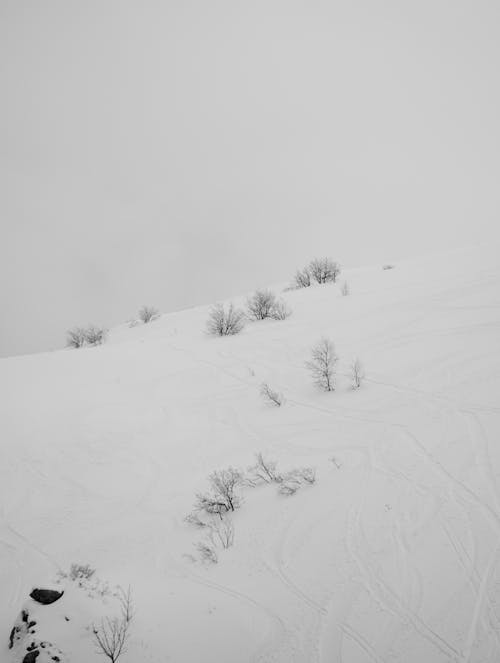 Darmowe zdjęcie z galerii z czarno-biały, góra, mroźny