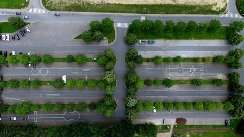 무료 나무와 주차장의 항공 사진 스톡 사진