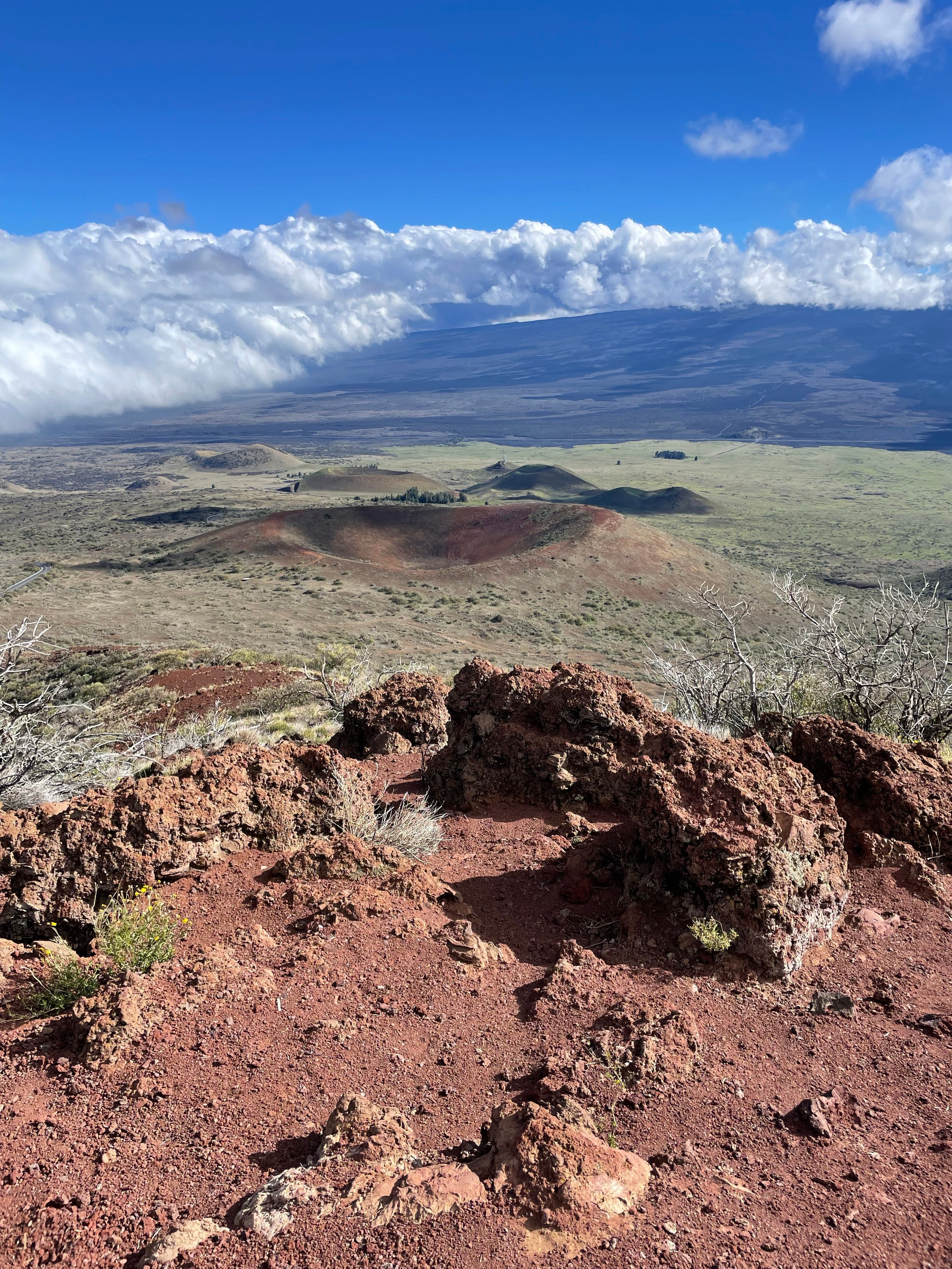 Rocks and Plains behind · Free Stock Photo