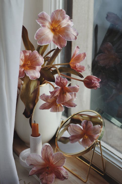 Foto stok gratis ambang jendela, bejana, bunga-bunga