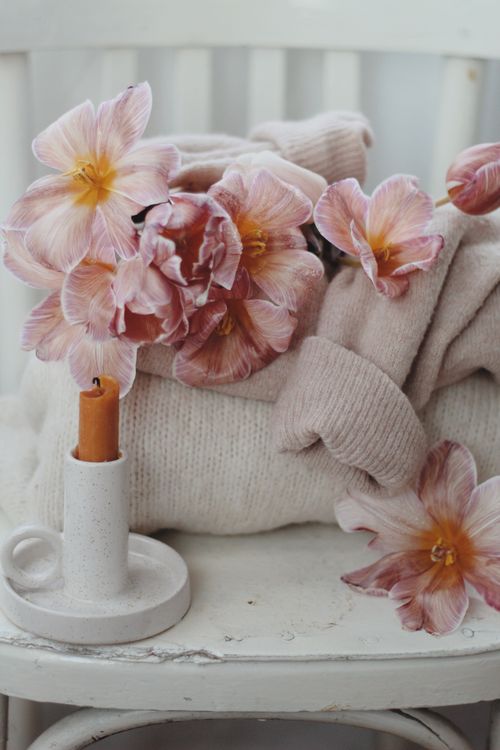 Free Warm still life of pink flowers, sweater, and candle creating a cozy atmosphere. Stock Photo