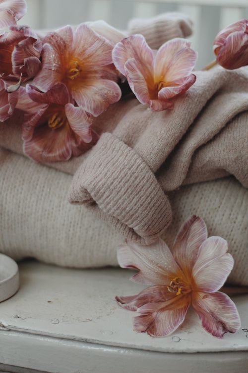 Free Soft sweaters adorned with blooming pink flowers create a cozy, elegant scene. Stock Photo