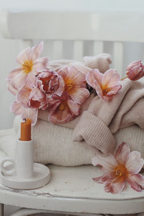 Free Soft pink flowers on a cozy sweater with a wax candle on a chair. Stock Photo