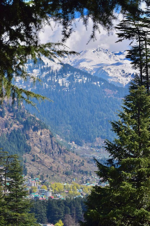 Gratis stockfoto met bergen, bomen, Bos